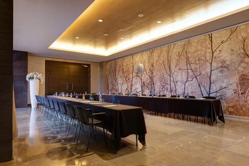 Conferences, Klima Hotel Milano Fiera, Milan