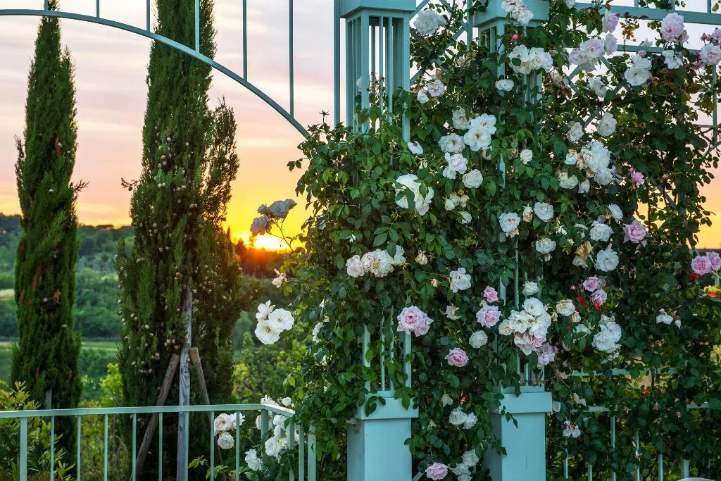 General view, Relais Sassa Al Sole, Florence