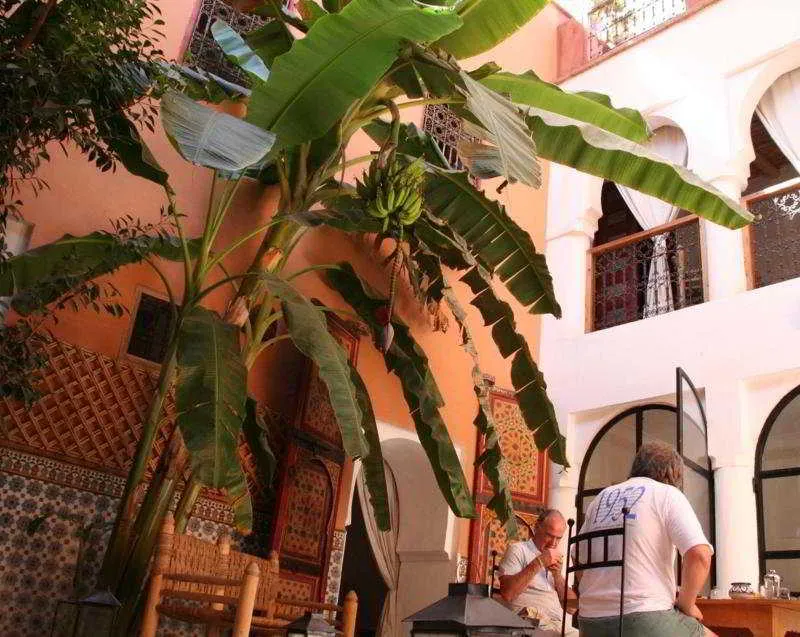 General view, Riad Ineslisa, Marrakech