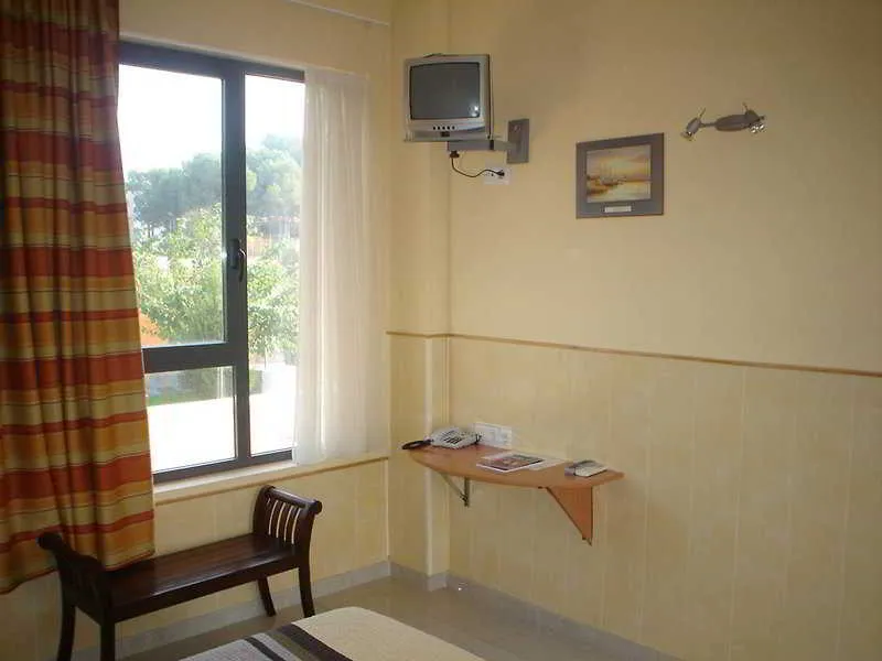 Room, Campo Olivar, Valencia
