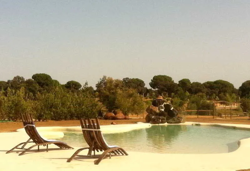 Pool, Ardea Purpurea, Andalucia