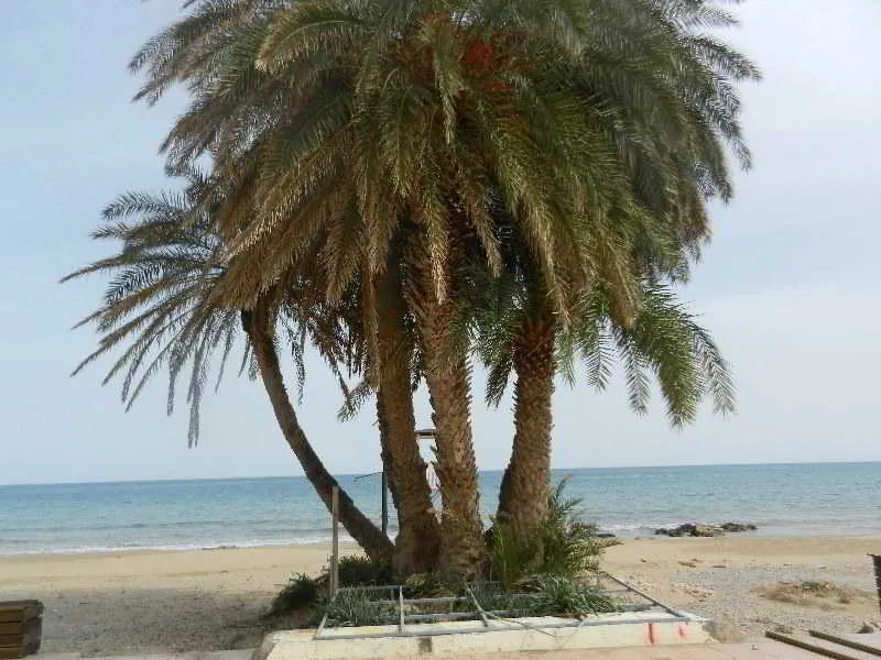 Beach, Remi Studios & Apartments, Crete