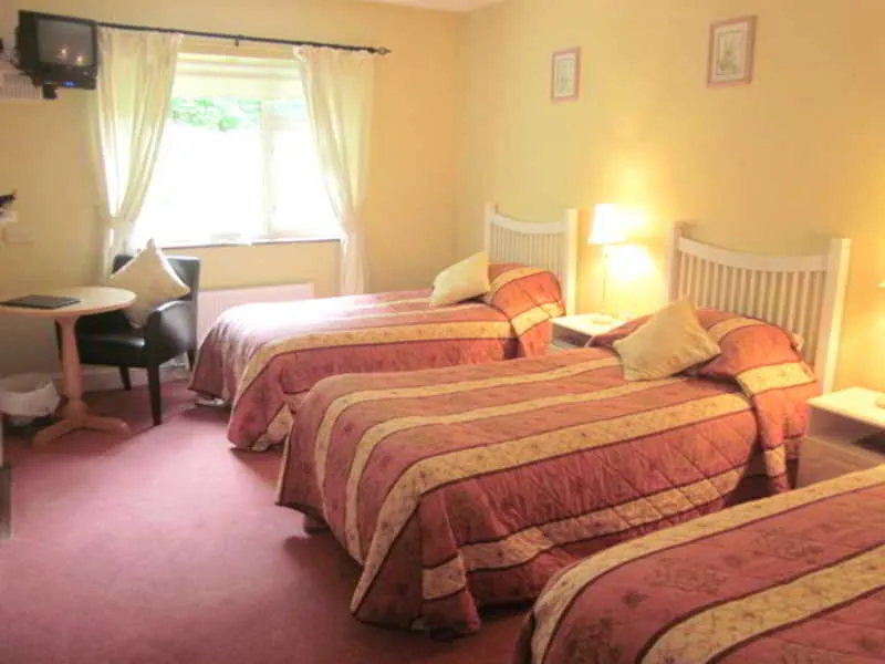 Room, Pine Forest House, Cork