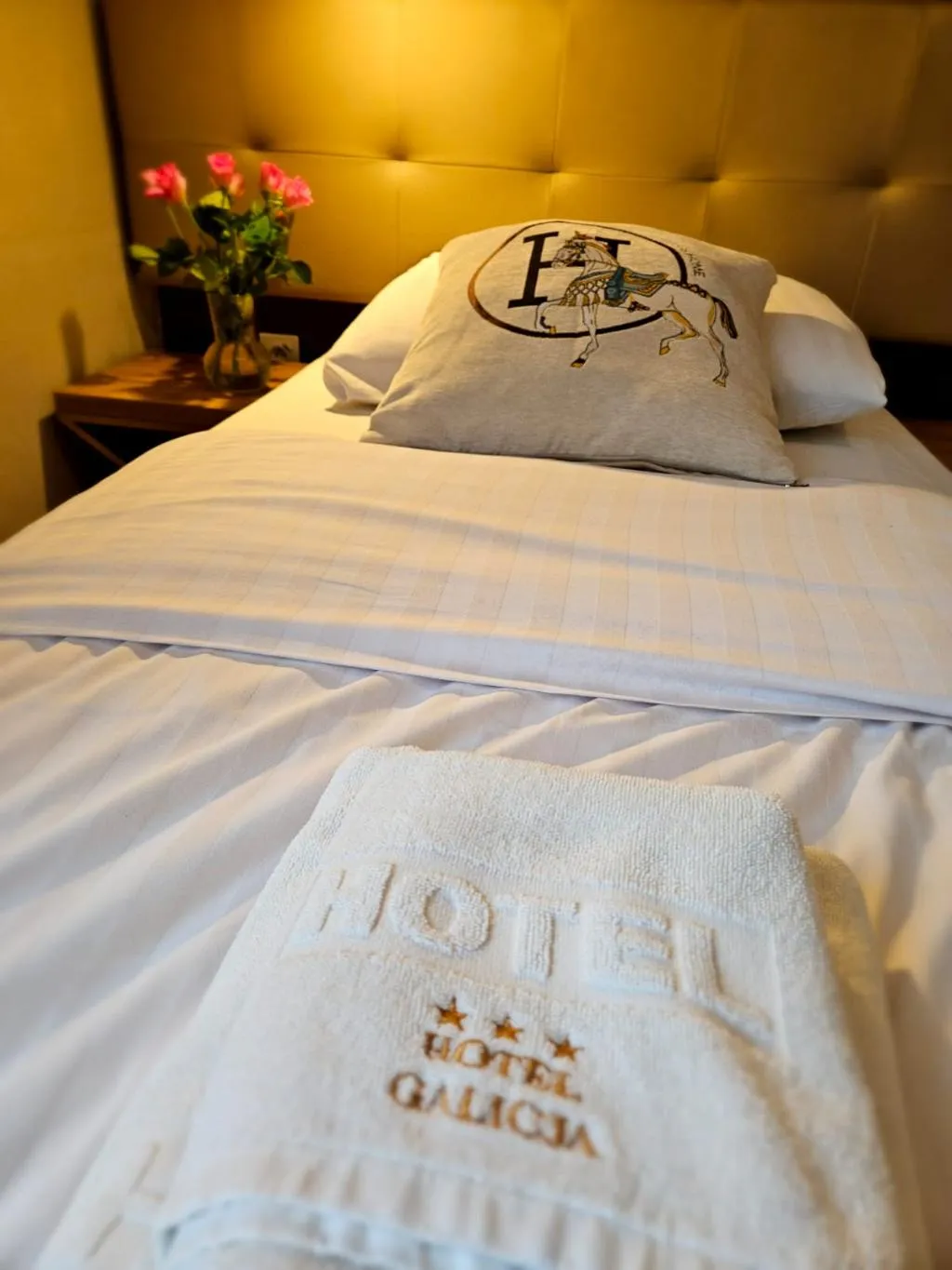 SINGLE STANDARD Room, Galicja, Krakow