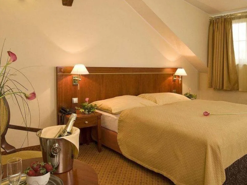 General view, Hotel Raffaello, Prague