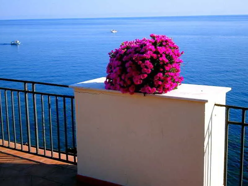 Terrace, Dolce Vita B&B, Palermo