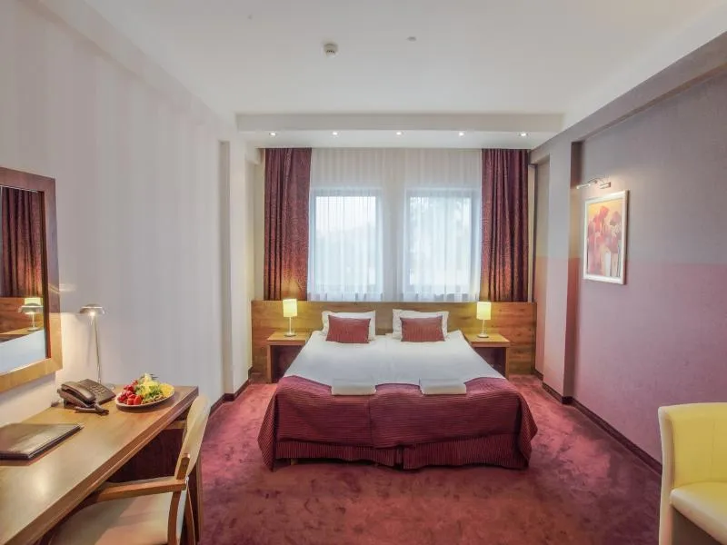 DOUBLE STANDARD Room, Hotel Swing, Krakow