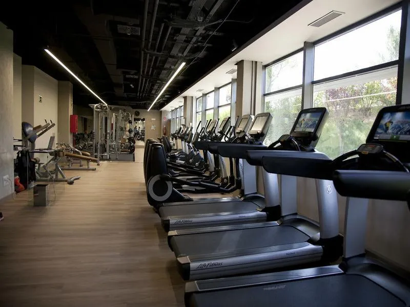 Sports and Entertainment, Hotel Aravaca Village, Madrid