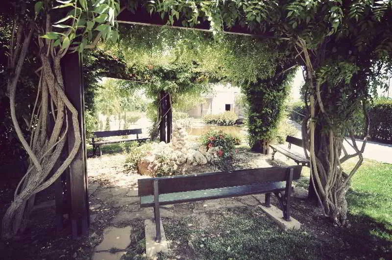 Terrace, Louty Simba, Valencia