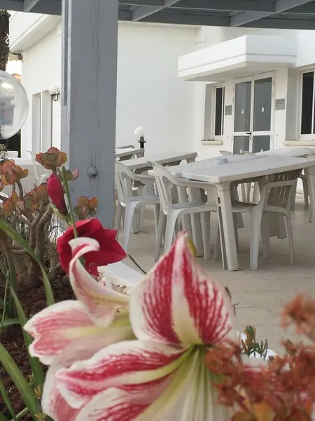 Terrace, Blue Crane Hotel Apts, Cyprus