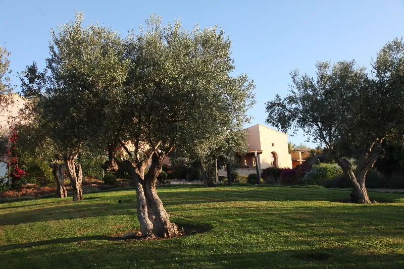 General view, Pula Suites Boutique Resort, Majorca