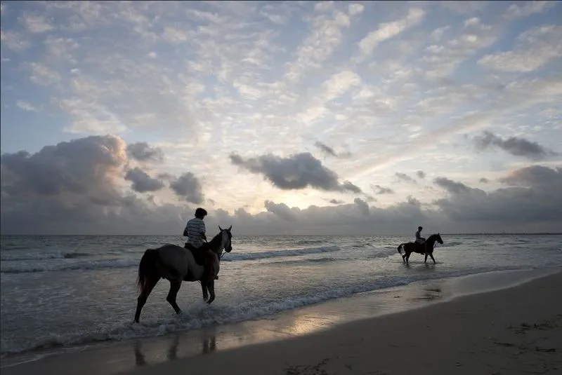 Sports and Entertainment, Sentido Djerba Beach, Tunisia