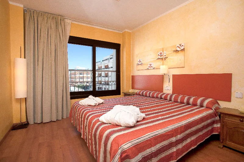 Room, Parot, Ibiza