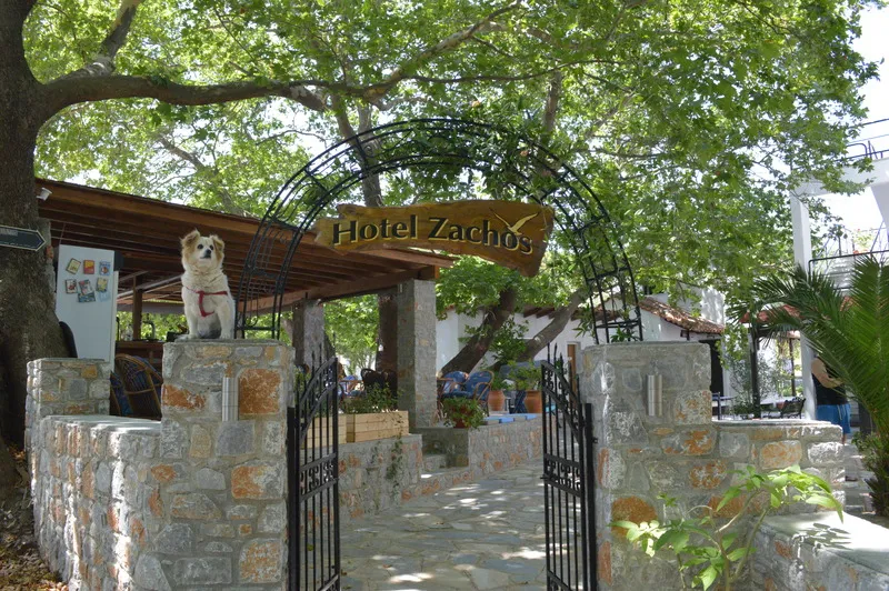 General view, Zachos, Skiathos