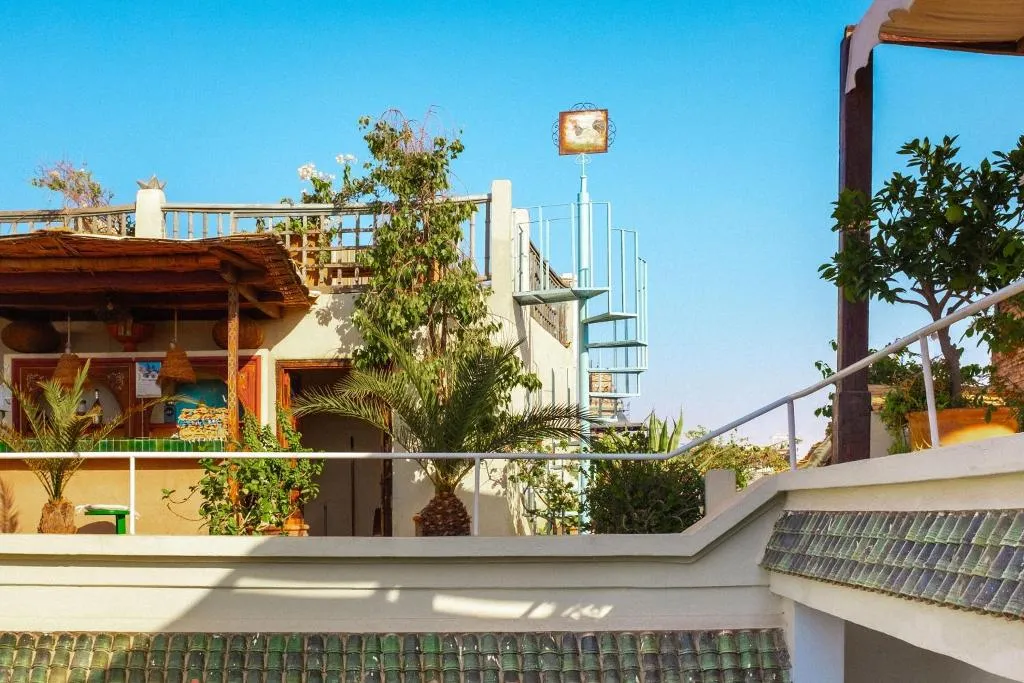 General view, Riad Le Coq Fou, Marrakech