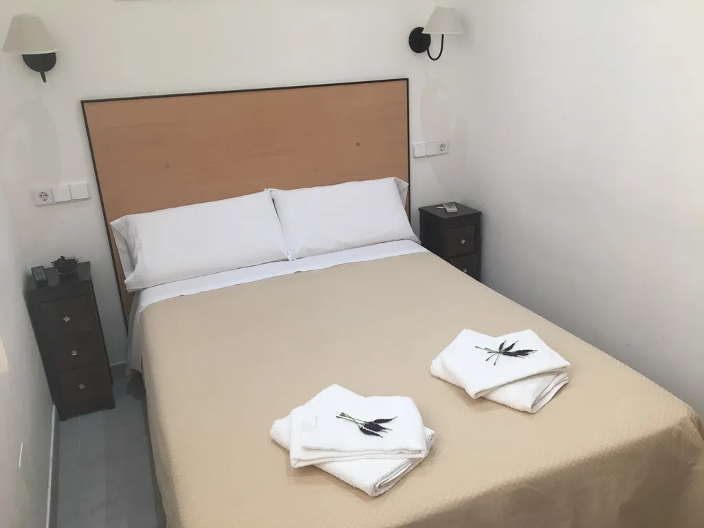 DOUBLE STANDARD Room, Hostal Residencia Lido, Madrid