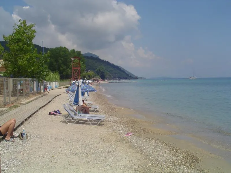 Beach, Sea Bird, Corfu