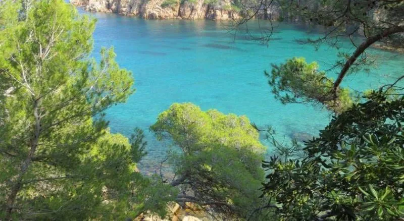 Beach, Hotel Eetu Affiliated by Melia, Costa Brava