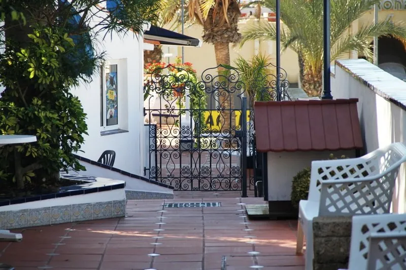 General view, Playaflor Chill-Out Resort, Tenerife