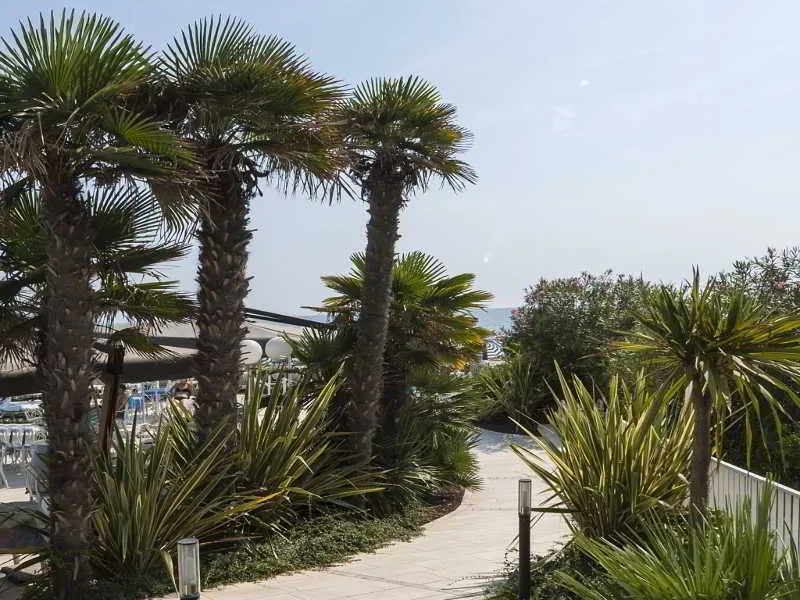 General view, Hotel Le Soleil, Venice