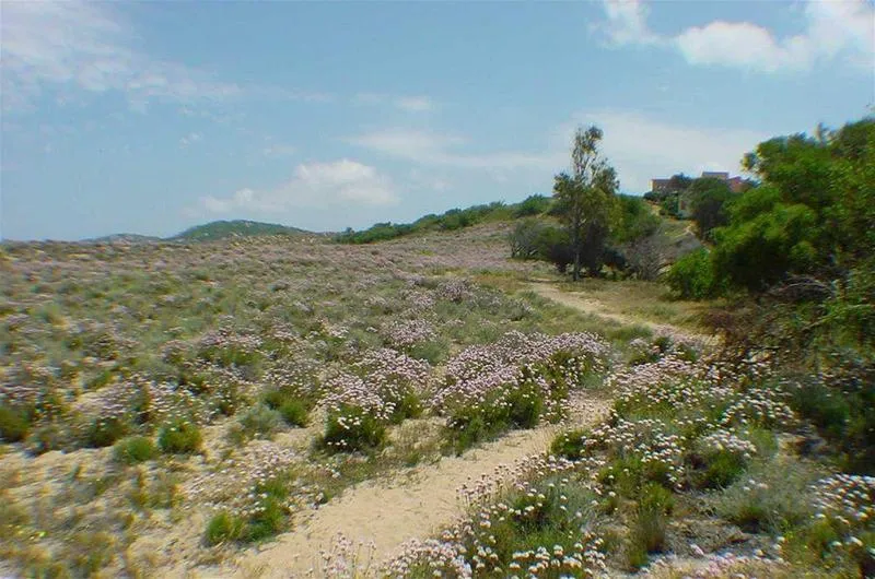 General view, Porto Puddu, Olbia