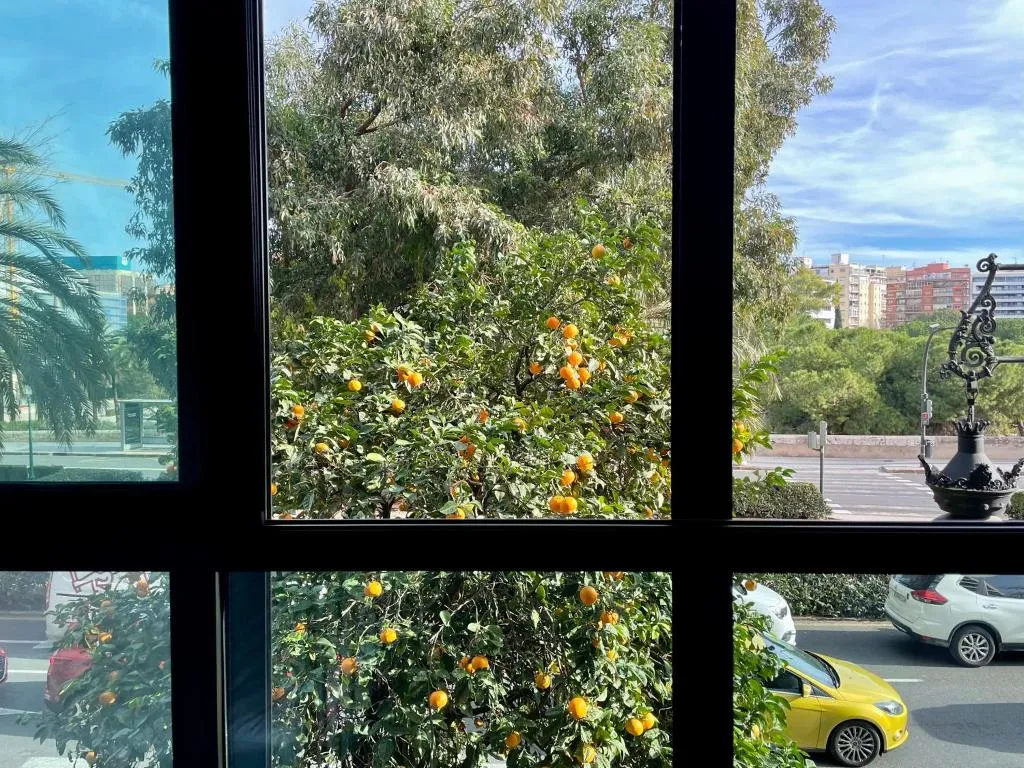 DOUBLE SUPERIOR WITH VIEWS Room, B&B Mare de Deu Jardines del Turia, Valencia