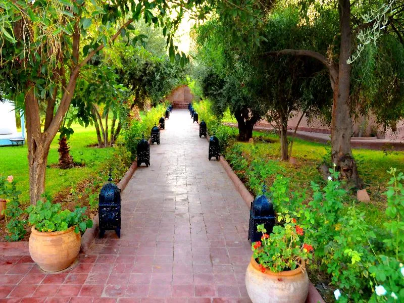 General view, Riad La Maison des Oliviers, Marrakech