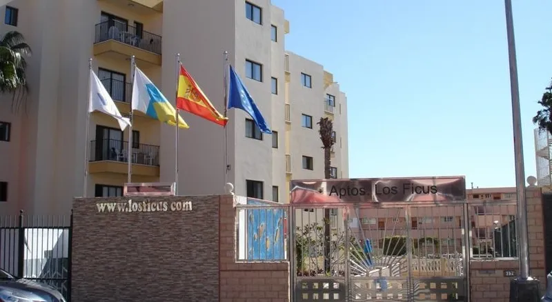 General view, Los Ficus, Gran Canaria