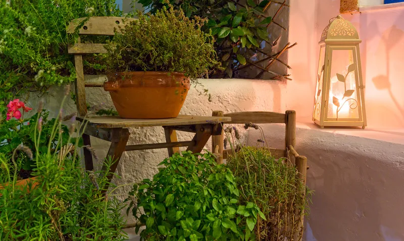 Terrace, Nathalie, Rhodes