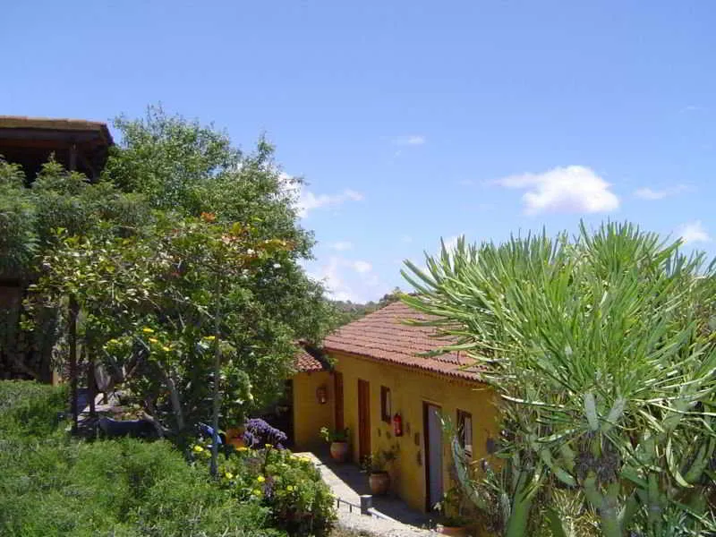 General view, La Correa del Almendro, Tenerife