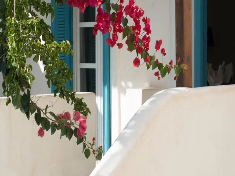 VILLA STANDARD Room, Andros Maisonettes, Corfu