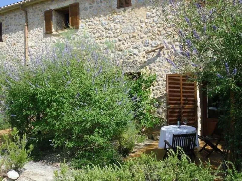 Terrace, Agroturismo Son Olive, Majorca