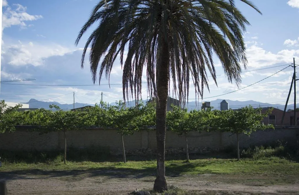 General view, Mas Taniet, Costa Dorada