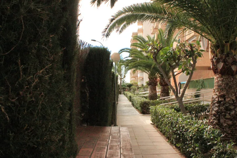 Lobby, Apartamentos Gandia Playa 3000, Valencia