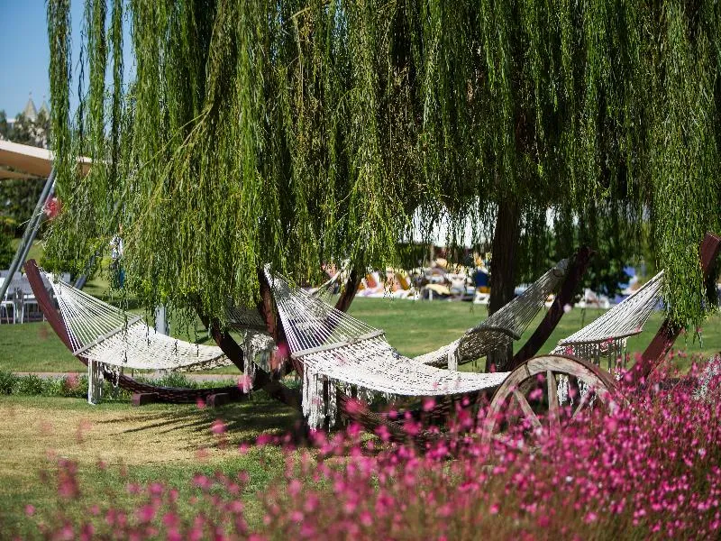 Terrace, Tui Blue Xanthe Resort&Spa Hotel, Antalya
