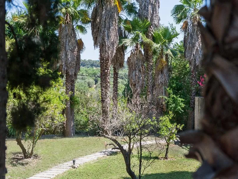 General view, Rural Son Jorda, Majorca