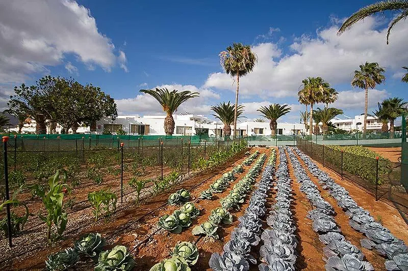 General view, Floresta, Lanzarote