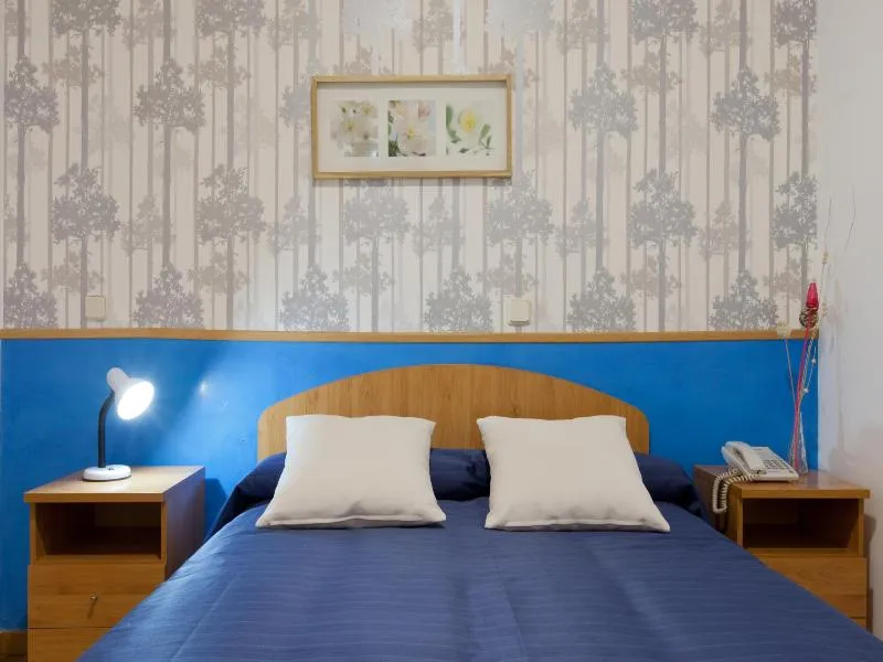 DOUBLE STANDARD Room, Hostal Montaloya, Madrid