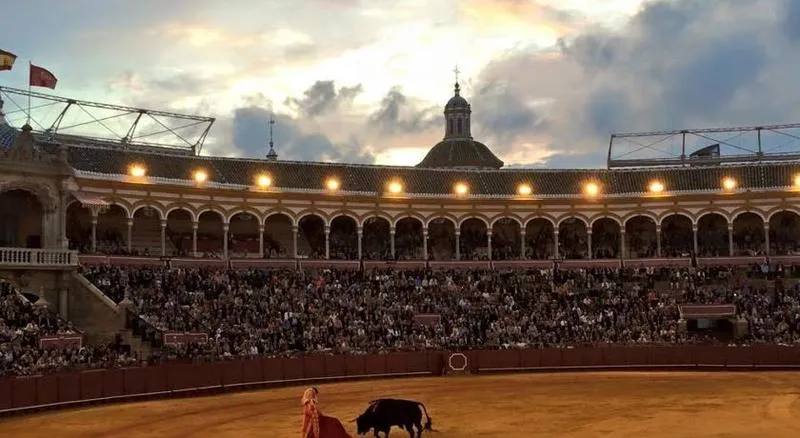 Sports and Entertainment, Hostel Trotamundos, Seville