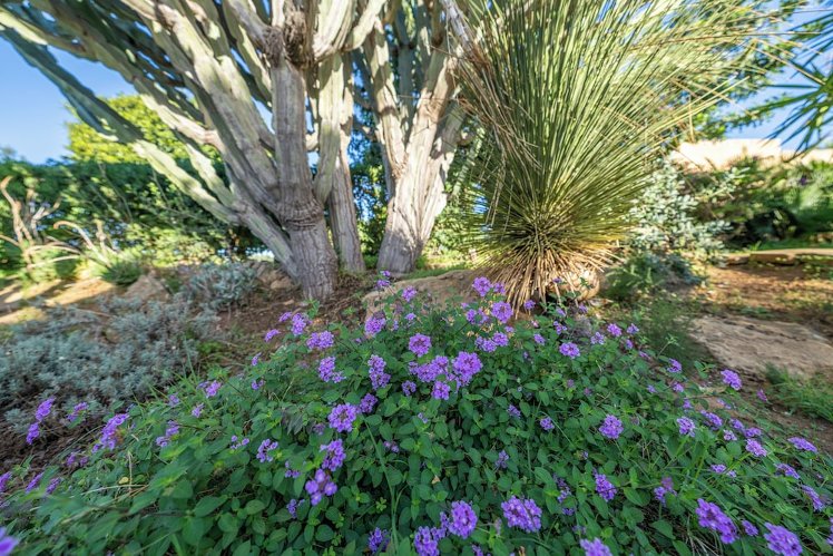 B&B Villa Carlotta Resort, Catania