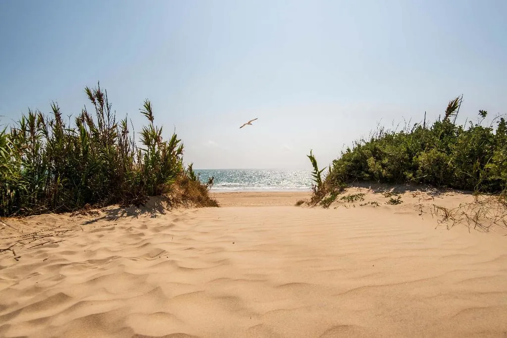 Beach, Barcelo Costa Ballena, Costa De La Luz