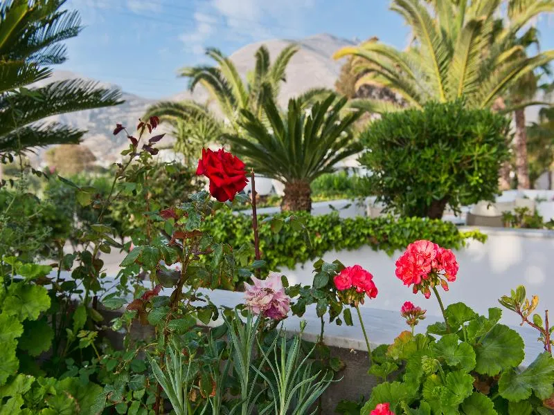 Terrace, Makarios, Santorini