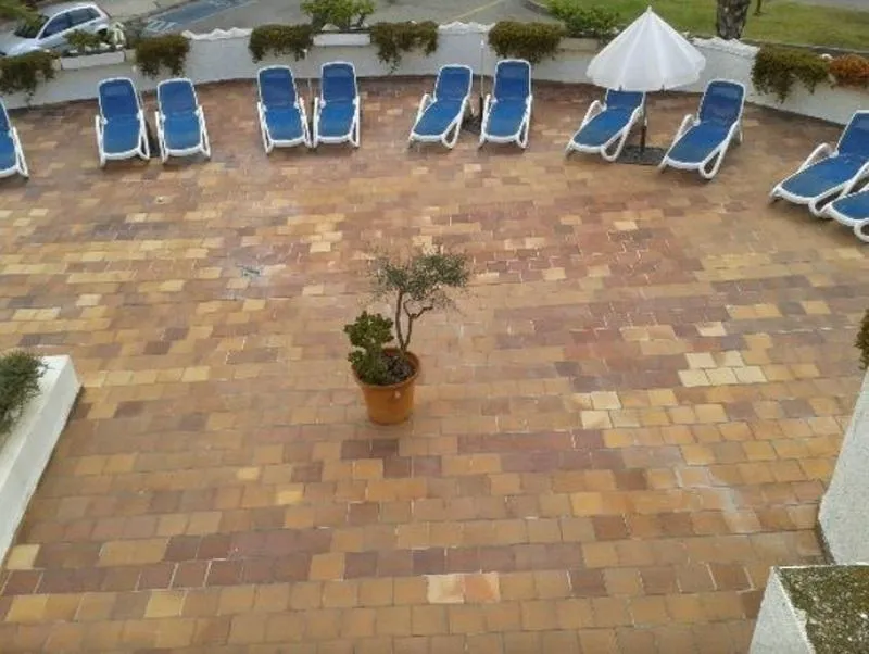 Terrace, Stil Bonsai, Majorca