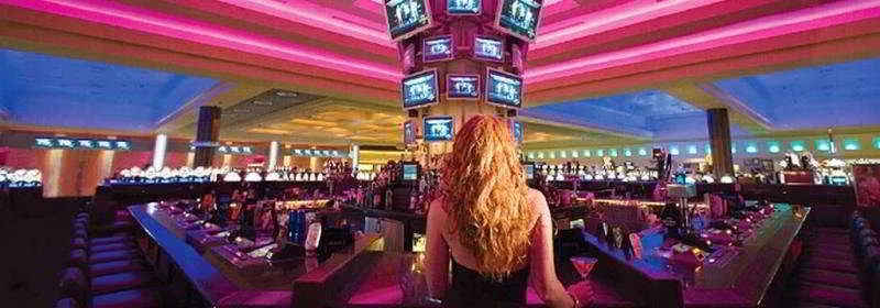 Bar, Seminole Hard Rock Hotel & Casino - Tampa, Tampa, Florida