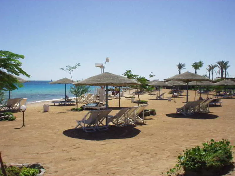 Beach, Sea Garden, Red Sea Riviera