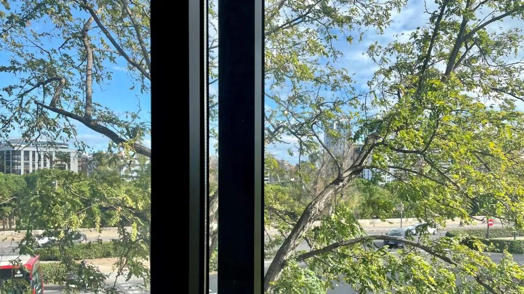DOUBLE SUPERIOR WITH VIEWS Room, B&B Mare de Deu Jardines del Turia, Valencia