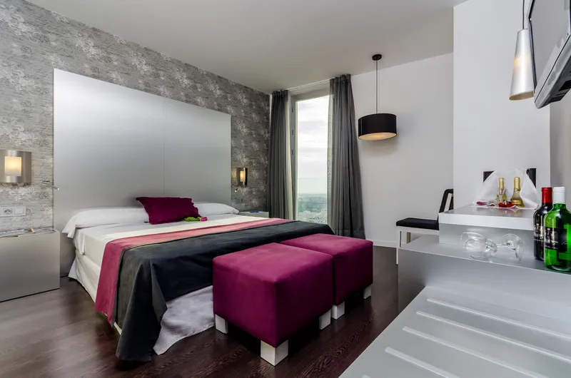 Double or Twin STANDARD Room, YIT Via Sevilla Mairena Hotel, Seville