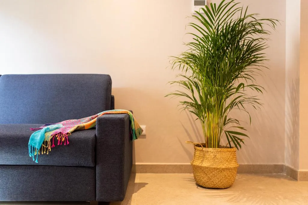 APARTMENT CAPACITY 3 Room, Ramirez Flats Valencia, Valencia