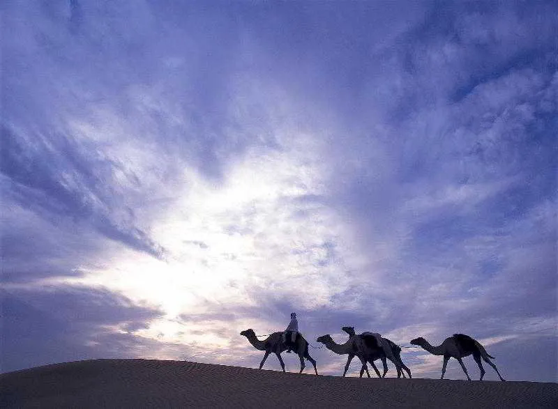 General view, Al Maha, a Luxury Collection Desert Resort & Spa, Dubai