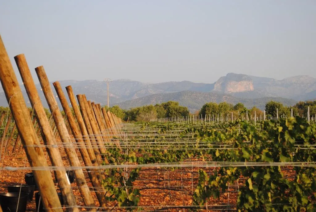 General view, Weingut & Landhotel Can Davero, Majorca